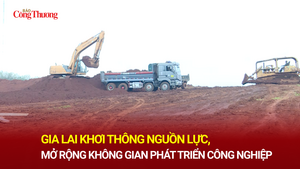 Gia Lai khơi thông nguồn lực, mở rộng không gian phát triển công nghiệp