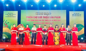 Gia Lai: Kết nối tiêu thụ đặc sản vùng đồng bào dân tộc thiểu số và miền núi