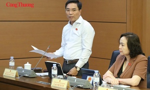 Luật Nhà ở (sửa đổi): Ưu đãi phải đến người thuê, quyền sở hữu phải rõ