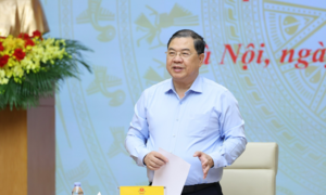 Phó Thủ tướng Thường trực Phạm Gia Túc làm Chủ tịch Hội đồng thẩm định Quy hoạch khoáng sản nhóm I
