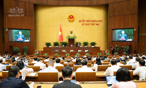 Ngày 22/10/2026: Quốc hội thảo luận về các dự án luật lĩnh vực nhà ở, bất động sản