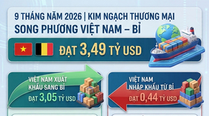 Infographic | 9 tháng, kim ngạch thương mại Việt Nam - Bỉ đạt 3,49 tỷ USD