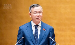 Sửa đổi Luật Đấu thầu: Khơi thông nguồn lực, nâng cao hiệu quả sử dụng vốn