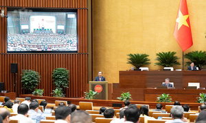 Đề xuất chuyển quản lý giống cây trồng về Bộ Khoa học và Công nghệ
