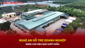 Nghệ An hỗ trợ doanh nghiệp nâng cao hiệu quả xuất khẩu