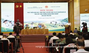 Phó Thủ tướng: Đưa khoa học, công nghệ thành động lực tăng trưởng nông nghiệp