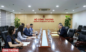 Thúc đẩy quan hệ Đối tác chiến lược Việt Nam - Brazil phát triển thực chất và hiệu quả 