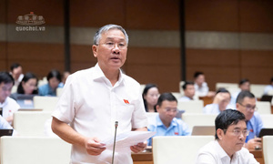 Đại biểu Quốc hội đề nghị lấy khả năng chi trả của người dân làm thước đo chính sách nhà ở xã hội