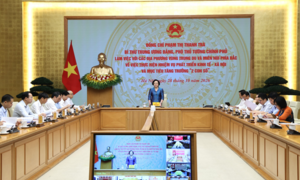 Phó Thủ tướng Phạm Thị Thanh Trà: Kiên định mục tiêu tăng trưởng hai con số, khẩn trương hoàn thiện vị trí việc làm