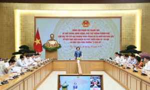 Phó Thủ tướng Phạm Thị Thanh Trà làm việc với 9 tỉnh vùng trung du và miền núi phía bắc về mục tiêu tăng trưởng 2 con số