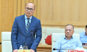 Thứ trưởng Lương Hoàng Thái làm Tổ trưởng Tổ công tác triển khai nhiệm vụ của đề án hệ sinh thái tận dụng FTA