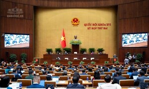 Ngày 29/10/2026: Quốc hội thảo luận về Luật Phát triển doanh nghiệp nhỏ và vừa
