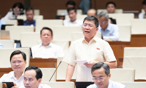 Đại biểu đề nghị gỡ vướng đất ở lâu đời, đất khai hoang, dữ liệu số