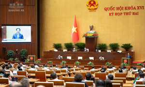 Bảo đảm cơ sở dữ liệu đất đai 'đúng, đủ, sạch, sống'