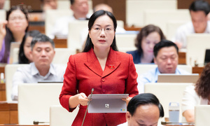 Luật Đất đai (sửa đổi): Linh hoạt nhưng phải cụ thể các tiêu chí 