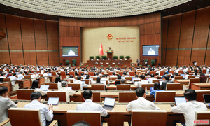 Lấy hiệu quả bảo vệ người tiêu dùng làm thước đo phân cấp