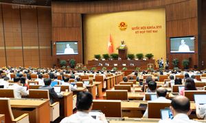 Ngày 30/10/2026: Quốc hội thảo luận về kế hoạch phát triển kinh tế - xã hội