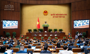 Từ ý kiến đại biểu Quốc hội tới nỗ lực của ngành Công Thương - Bài 3: Lắng nghe cử tri, gỡ vướng bằng thể chế