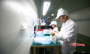 Tháo gỡ vướng mắc, duy trì giao kết hợp đồng lao động điện tử 