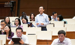 Đại biểu Trần Hoàng Ngân: Xuất siêu 2 tháng gần đây là tín hiệu rất tích cực