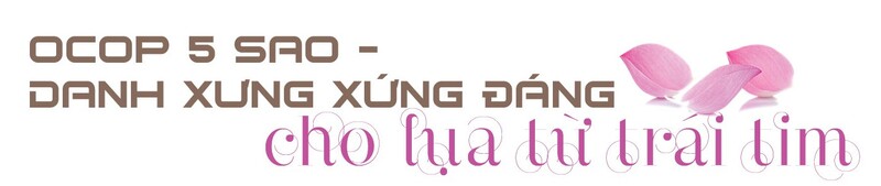 Longform | Tơ sen: Nét lặng tinh hoa giữa lòng Hà Nội Longform | Tơ sen: Nét lặng tinh hoa giữa lòng Hà Nội - 5