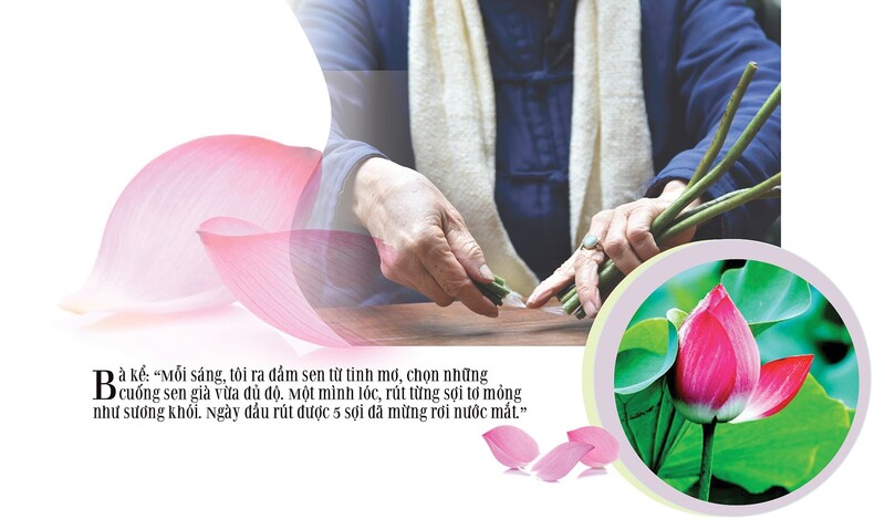 Longform | Tơ sen: Nét lặng tinh hoa giữa lòng Hà Nội Longform | Tơ sen: Nét lặng tinh hoa giữa lòng Hà Nội - 3