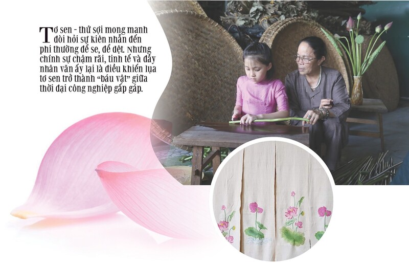 Longform | Tơ sen: Nét lặng tinh hoa giữa lòng Hà Nội Longform | Tơ sen: Nét lặng tinh hoa giữa lòng Hà Nội - 4