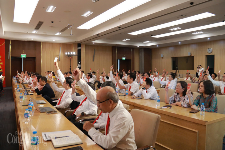 Các đại biểu tham dự Đại hội biểu quyết bằng thẻ đảng viên. Ảnh: Thanh Tuấn