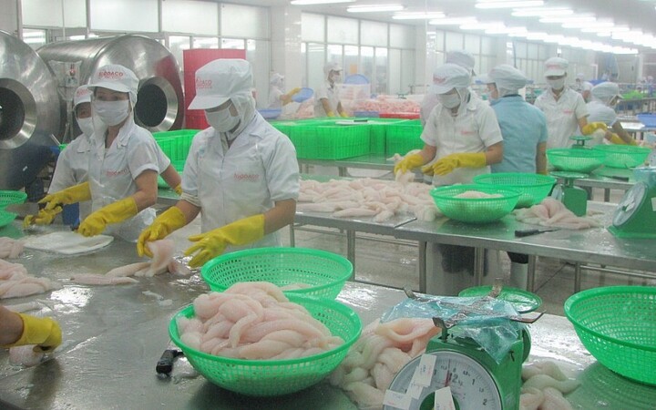 Trong tháng 5/2025, chỉ số sản xuất công nghiệp của tỉnh Tiền Giang tăng 12,5% so với cùng kỳ. Ảnh: Thanh Minh