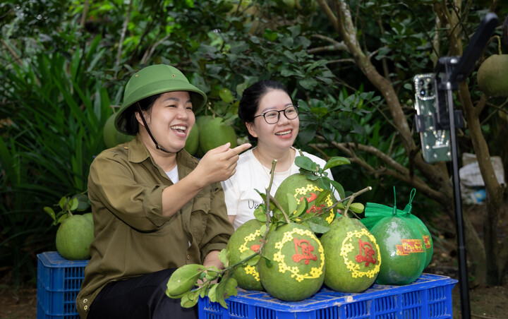 Người dân livestream bán bưởi da xanh đặc sản Ninh Thuận - Ảnh: Hồng Đăng