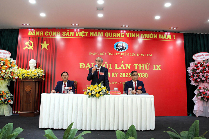Công ty Điện lực Kon Tum tổ chức Đại hội Đảng bộ khóa IX (Ảnh: PC Kon Tum)
