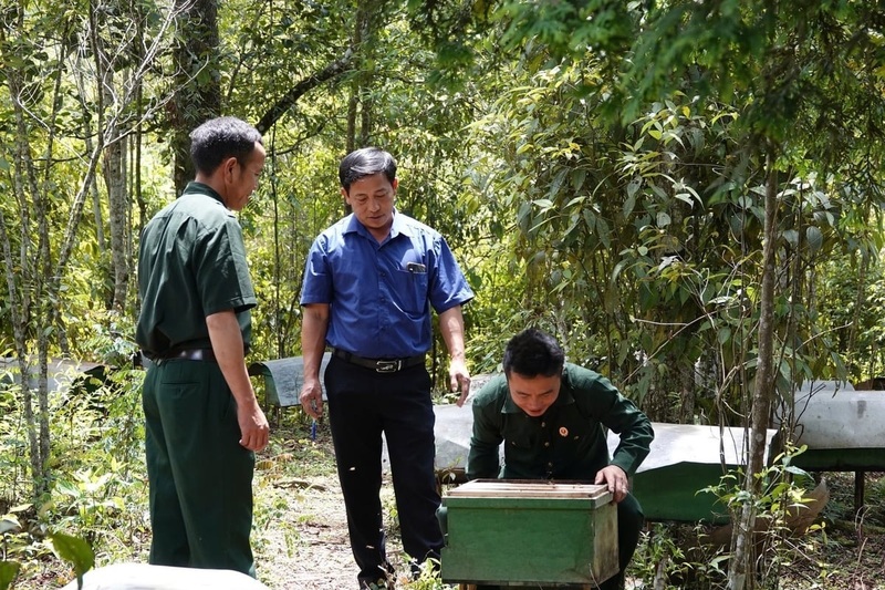 Với hệ sinh thái rừng phong phú, nghề nuôi ong lấy mật phát triển mạnh ở huyện Mù Cang Chải. Ảnh: Thanh Tiến