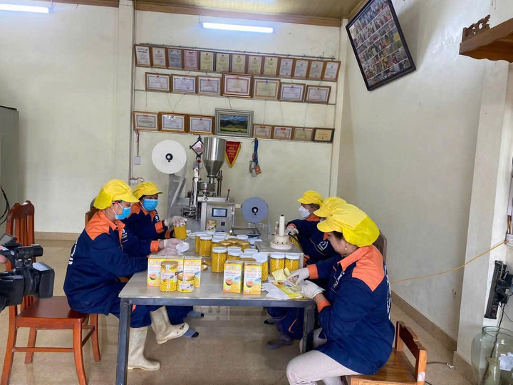 Cơ sở sản xuất tinh bột nghệ của Hợp tác xã nông sản dược liệu Mạnh Hương đang chế biến sản phẩm