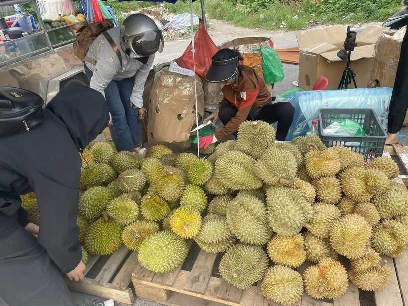 Người tiêu dùng tranh thủ mua khi giá sầu riêng đang mềm. Ảnh: Minh Khánh