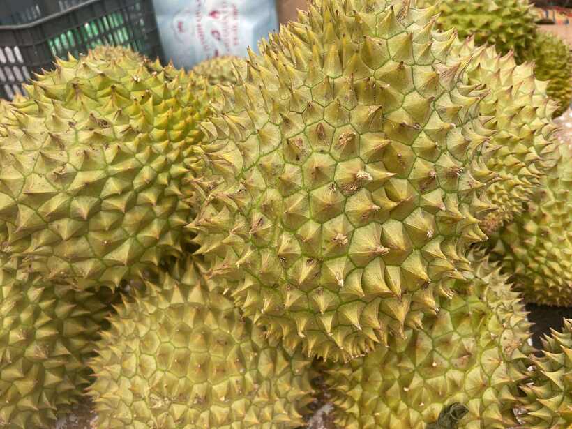 Tại chợ Nhân Chính, sầu Thái cũng chỉ có giá 95.000 đồng/kg. Ảnh: Minh Khánh