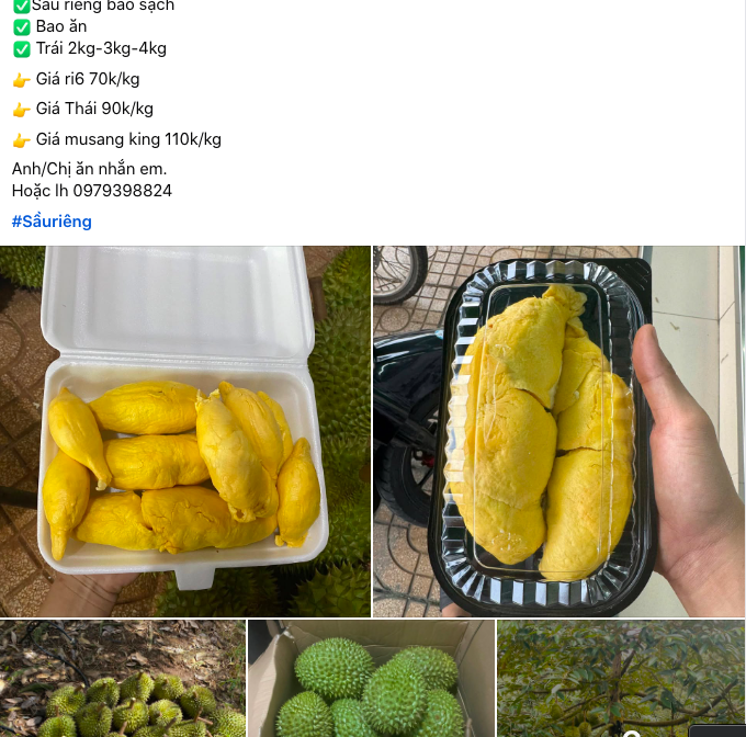 Sầu riêng cũng trở nên đắt khách tại
