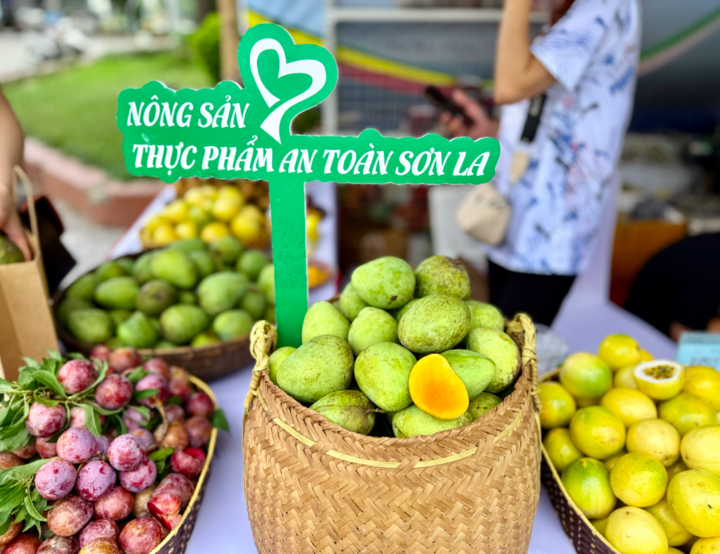 Năm 2025, Sơn La dự kiến được mùa nông sản. Ảnh: Hoàng Lan