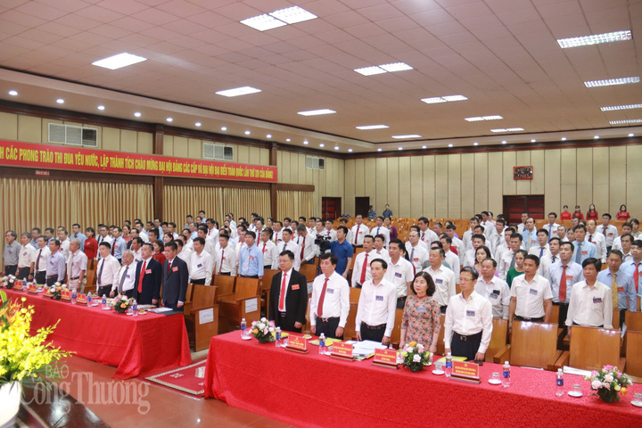 Các đại biểu tham dự đại hội thực hiện nghi thức chào cờ. Ảnh: Thanh Tuấn