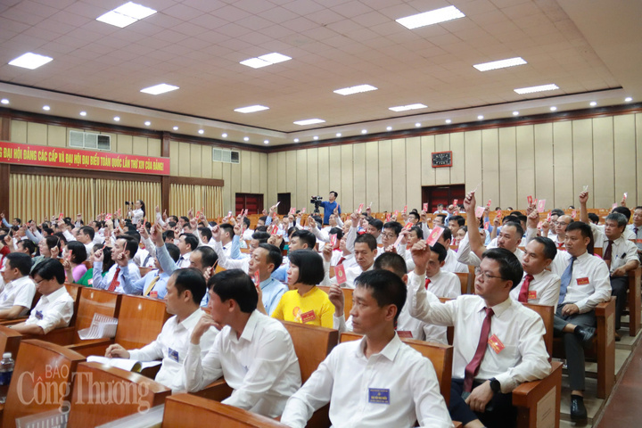 Các đại biểu tham dự Đại hội biểu quyết bằng thẻ đảng viên. Ảnh: Thanh Tuấn
