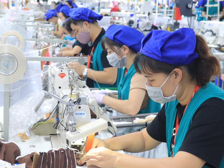 Công ty TNHH Crystal Martin sử dụng năng lượng mặt trời trong sản xuất. Ảnh: TH