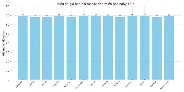 Biểu đồ giá heo hơi tại các tỉnh miền Bắc ngày 15/6.