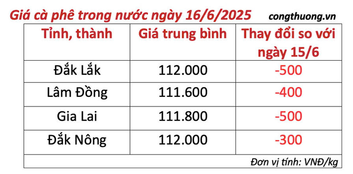 Bảng giá cà phê trong nước cập nhật chiều ngày 16/6/2025