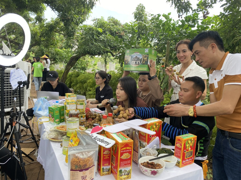 Livestream quảng bá, bán sản phẩm nhãn lồng Hưng Yên và các sản phẩm OCOP Hưng Yên. Ảnh: Phạm Đăng