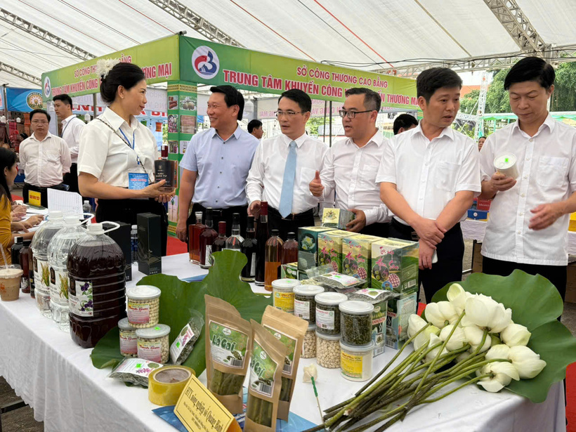 Quảng Bình: Tăng cường khuyến công, đẩy mạnh xúc tiến thương mại