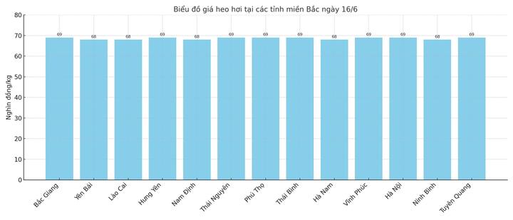 Biểu đồ giá heo hơi tại các tỉnh miền Bắc ngày 16/6.