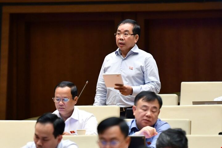 Đại biểu Nguyễn Quang Huân - Đoàn Bình Dương. Ảnh: QH