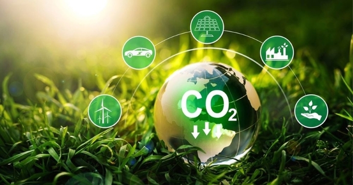 Việt Nam có tiềm năng lớn về tín chỉ carbon do có diện tích rừng lớn. Ảnh minh hoạ
