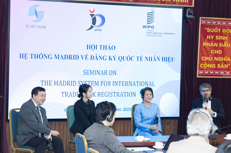 Đại diện Sao Thái Dương và các chuyên gia thảo luận