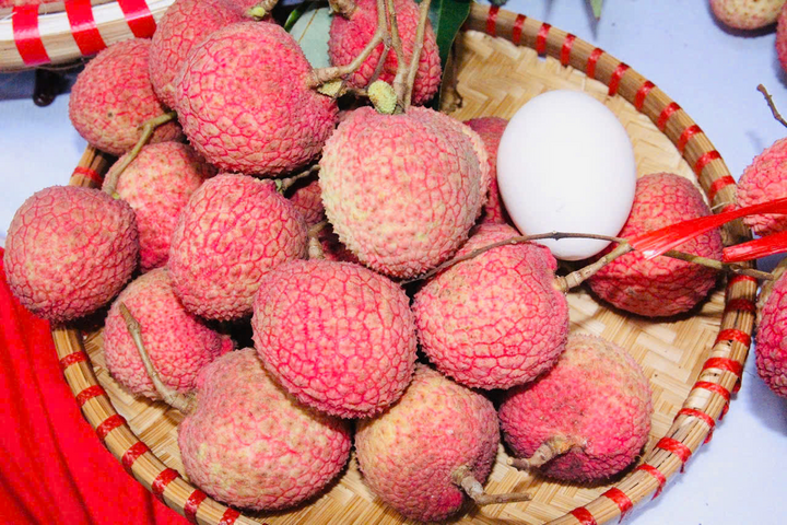 Vải trứng Hưng Yên có mẫu mã đẹp, hương vị thơm, ngọt và trọng lượng trung bình từ 14 - 22 quả/kg. Ảnh Phương Cúc