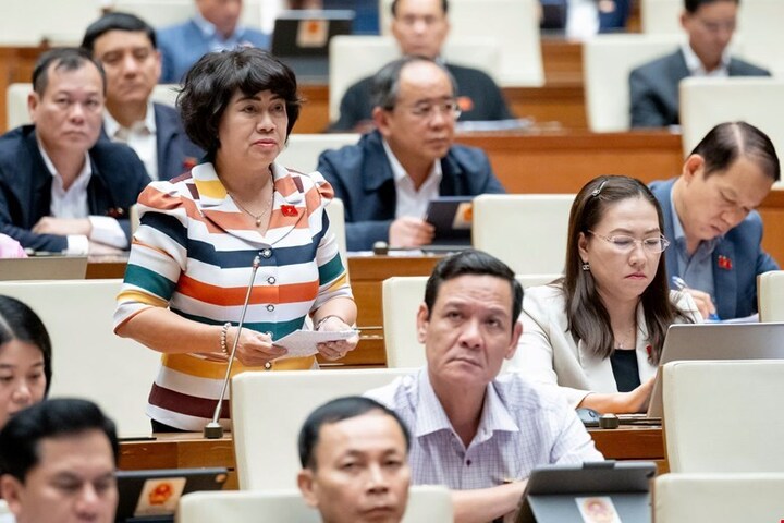 Đại biểu Nguyễn Thị Lệ Thủy- đoàn Bến Tre. Ảnh tư liệu: QH